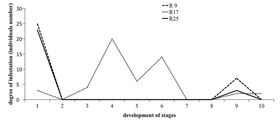 <strong>Figure 4</strong> Effect of the position of palm leaves on the larval development of Coelaenomenodera lameensis