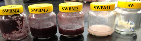 <strong>Figure 1 </strong> The samples of five different whey based beverages without BM (SW) and with 25% BM (SWBM1), 50% BM (SWBM2), 75% BM (SWBM3), and 100% BM (SWBM4).